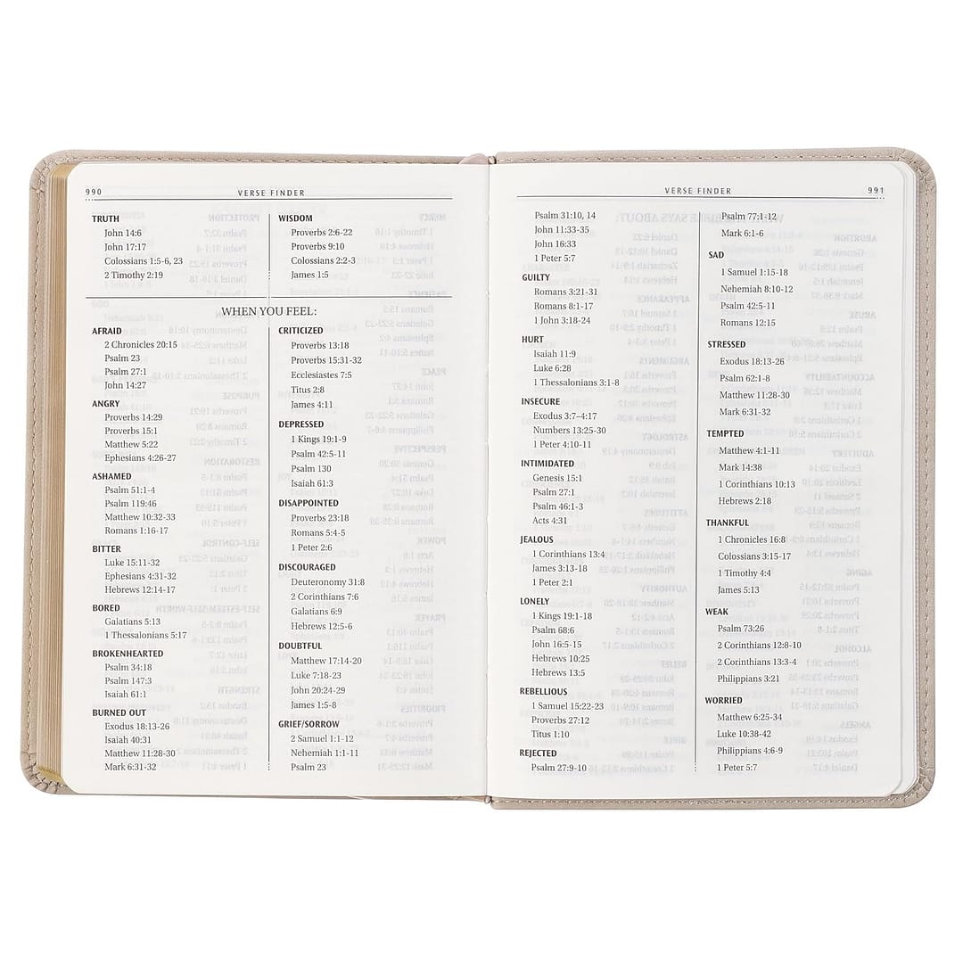 Biblia en Ingles KJV – Taupe - Image 2