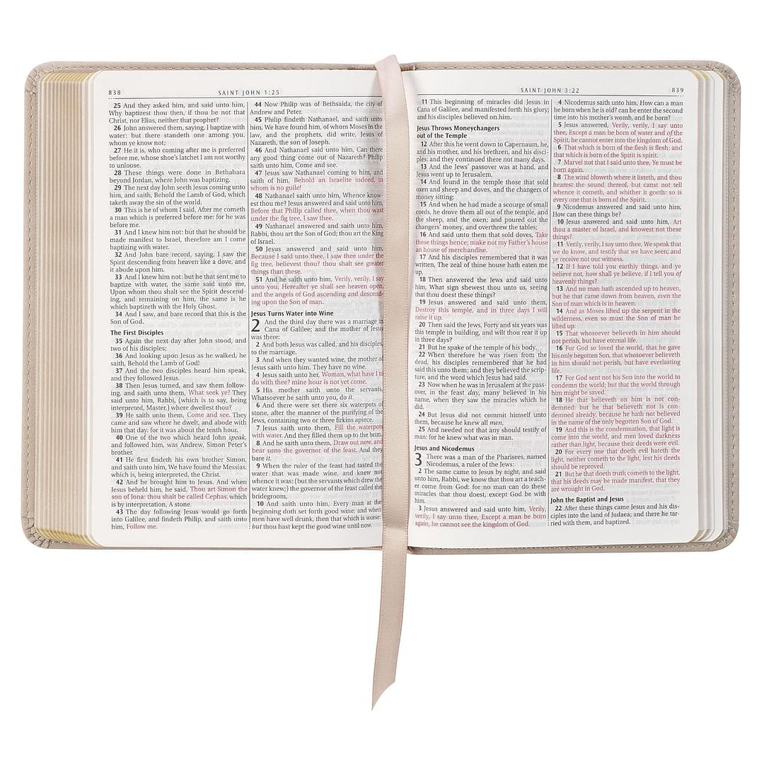 Biblia en Ingles KJV – Taupe - Image 3