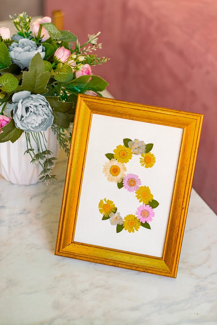 Combo 2 - Retratera y Libreta - Image 3